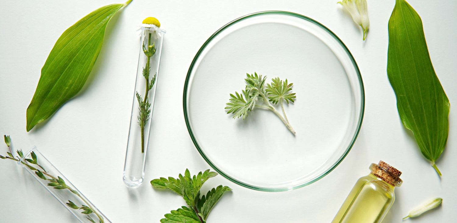 A természetes bőrápolás alapjai – mit érdemes tudni kezdőként?