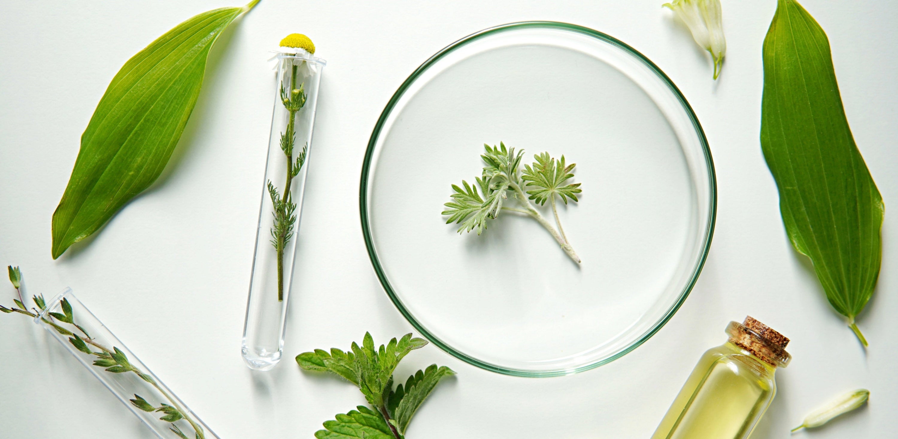 A természetes bőrápolás alapjai – mit érdemes tudni kezdőként?